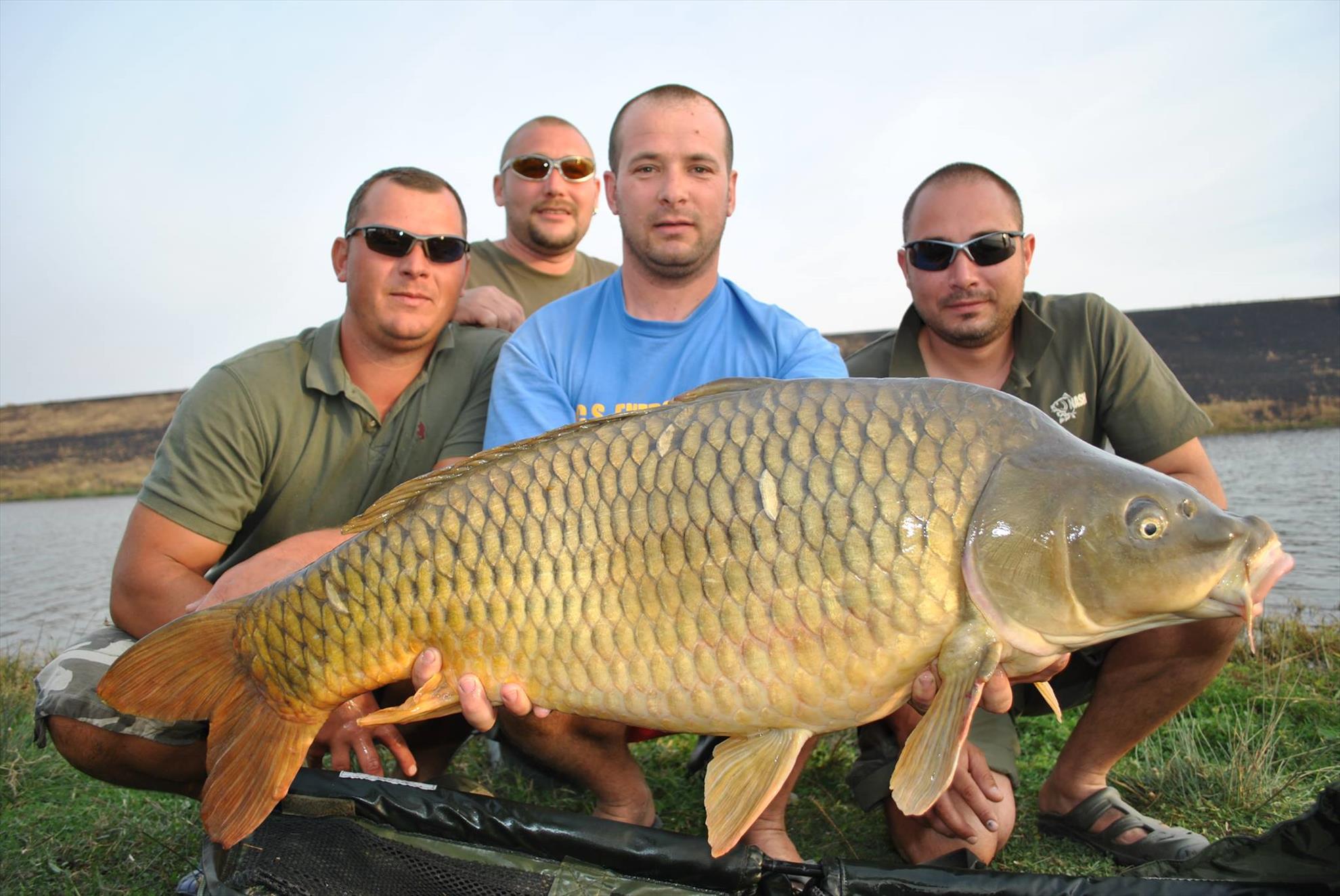 crapi de sarulesti - 774410661443250583324689539043o.jpg